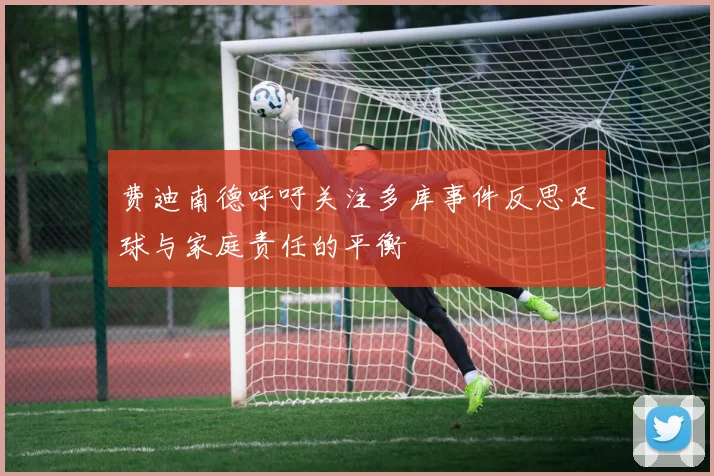 费迪南德呼吁关注多库事件反思足球与家庭责任的平衡