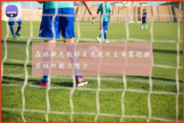 森林狼总裁称麦丹进攻全面需挖掘其组织能力潜力